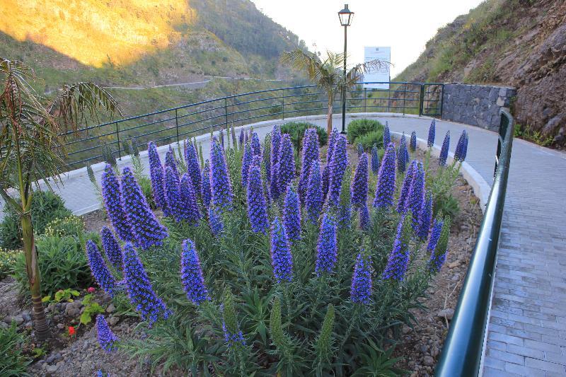 Curral Das Freiras Eira Do Serrado - Hotel & Spa מראה חיצוני תמונה